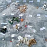 Pirati plastike – tudi mladi iz Istre na misiji proti plastičnemu onesnaževanju 6 Arhiv Plastic Pirates Go Europe 15 e1654461918992