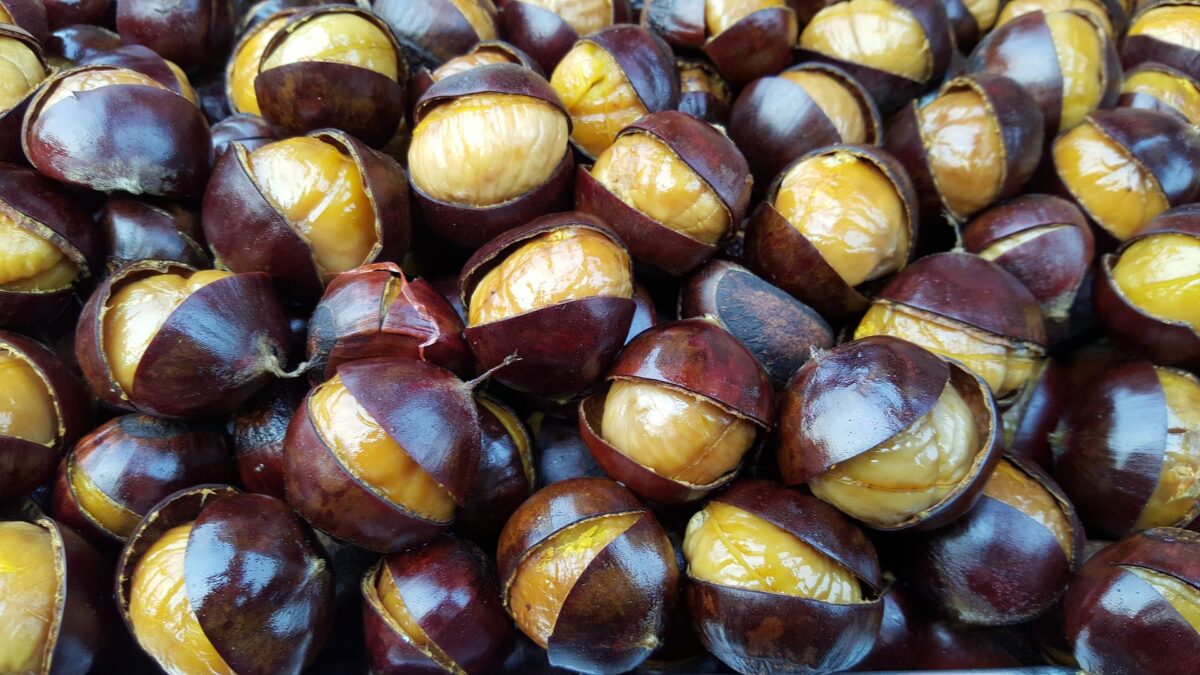 roasted chestnuts g03681d9ab 1920