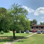 sadna drevesa v piranski občini 2 289974337 10159848733441480 7331045080193725403 n