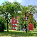 sadna drevesa v piranski občini 3 289991945 10159848733536480 1370406793788636755 n