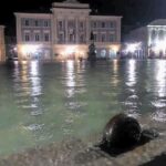 Slabo znanje mestnih svetnikov 6 FB za obcino piran poplave 2 1