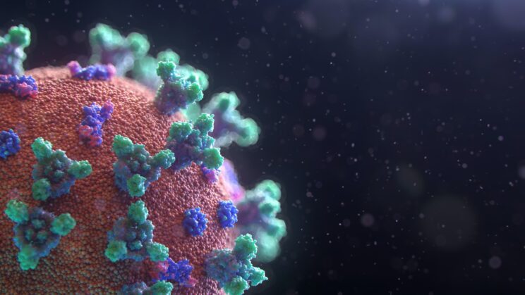 fusion medical animation EAgGqOiDDMg unsplash scaled