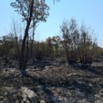 Premalo dežja za gašenje požara (VIDEO) 2 kras 3