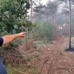 pozar 15 409380 20220718182118