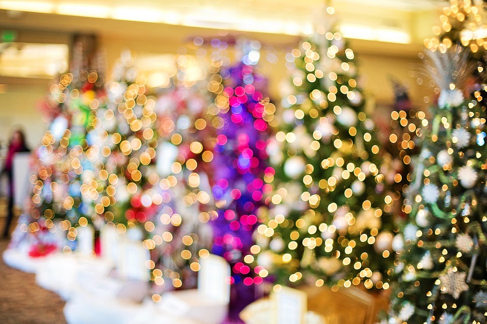 Okrašena božična drevesa različnih barv