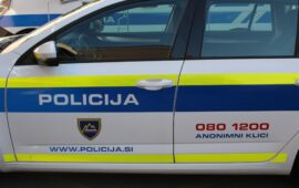 policija, lopov akcija