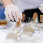 Znani zmagovalci Festivala Malvazija 3 426938 FestivalMalvazija2023 Foto Jaka Ivanƒiƒ