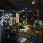 Želite pomagati pri obnovi zavetišča Mačja preja? 5 macka5