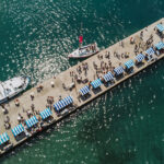 Pomol okusov maj23 Dragan Zlatanovic 1