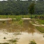 Neurje povzročilo škodo v slovenski Istri (FOTOGALERIJA) 18 2244A394 60DF 48A1 8B22 F9957A4EFB12