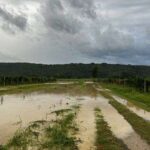 Neurje povzročilo škodo v slovenski Istri (FOTOGALERIJA) 23 DBE88A19 B39A 4EBE 8BD0 30D9DEF9EB9F