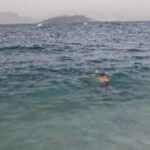 Na Hrvaškem kopalca napadla želva 2 EAC8F8E6 1A8C 4A5E BBB9 8A84027A063E