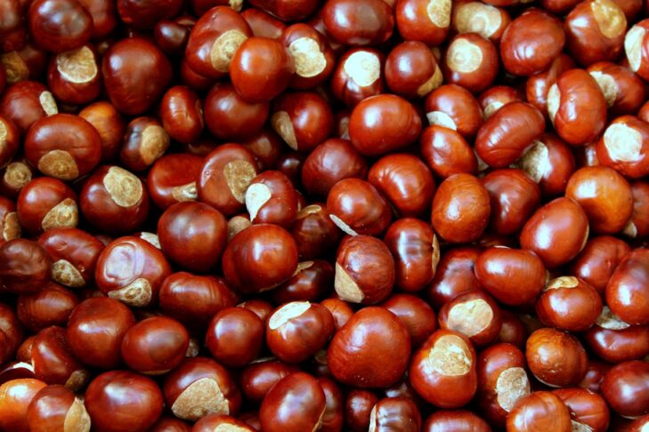 chestnuts 4500209 1280