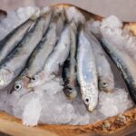 Jesensko druženje na Pomolu okusov 5 sardele