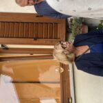 2FA54364 65C5 456B 8F79 B69991508277