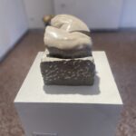 312B6CF5 143E 465D A02A C99FE7185248