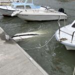 viber image 2023 11 03 10 59 59 745