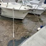 viber image 2023 11 03 10 59 59 964