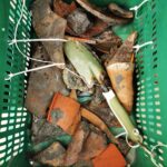 Antično pristanišče pri Porotoržu (FOTOGALERIJA) 15 20240215 01314591