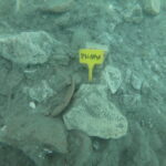 Antično pristanišče pri Porotoržu (FOTOGALERIJA) 16 20240215 01314593