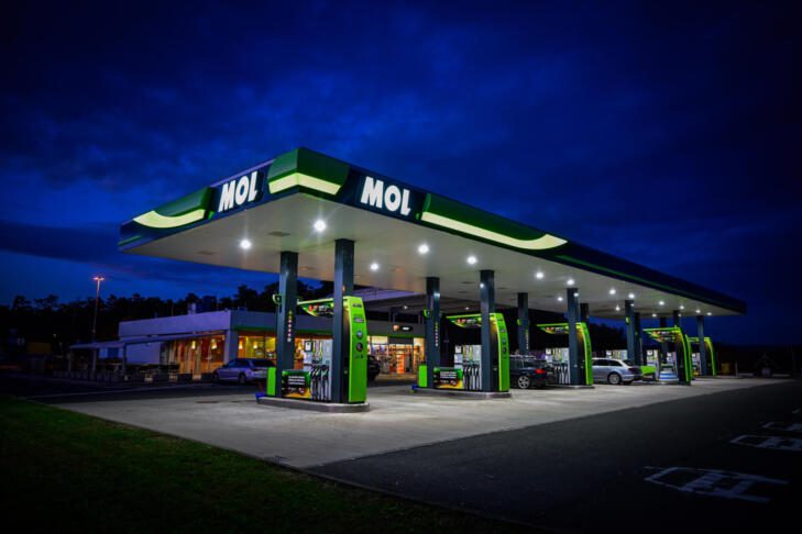 dravsko polje 2023 11 12 MAR7666 pigac si