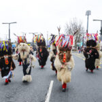Koprska cirkuška povorka v slikah 8 f010 istrski karneval 01