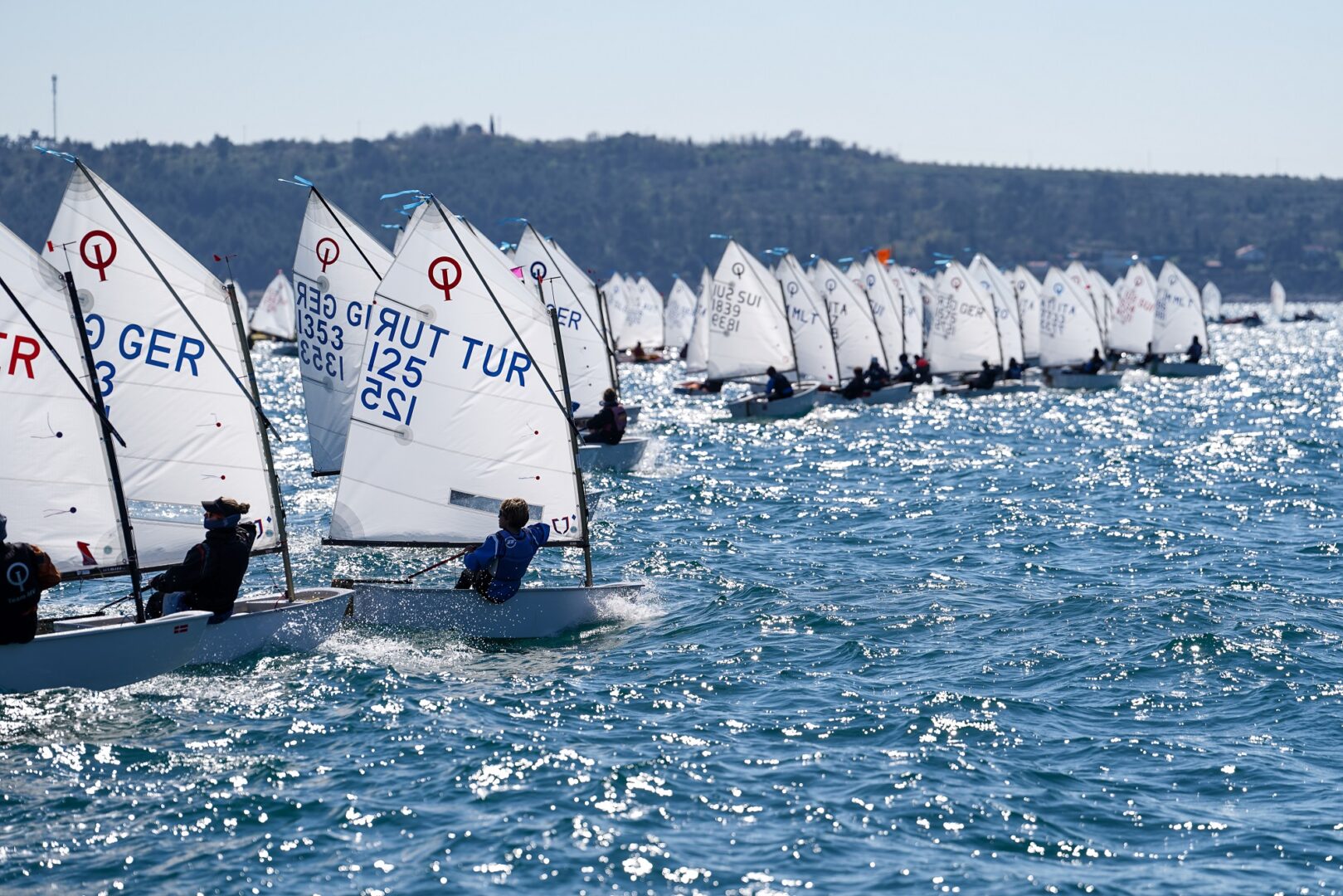 Regatta