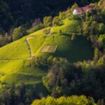 Fotografije Jake Ivančiča na Ljubljanskem gradu (FOTOGALERIJA) 4 20240626 01355753