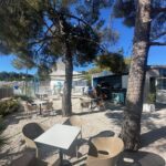 Moderna pasja plaža bo te dni zaživela v Portorožu 5 IMG 4216