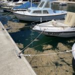 Sluzenje morja nagaja ribičem 2 IMG 6731