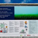 Kopalce na plaži Portorož izobražujejo o pomenu morskih travnikov 3 Tabla trava Portoroz