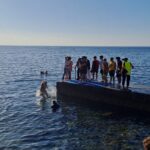 78. pomorski krst: Piran zasedli gusarji 4 458662885 10230726216726430 6074338691330929131 n