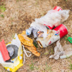 Vinakoper: Šele ko se udeležiš, vidiš, kako velike posledice ima brezbrižnost 4 Cista obala Vinakoper 4 1