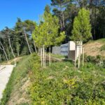 Adriaing o "nerazumnem dejanju" občine Ankaran 3 PHOTO 2024 09 30 16 42 39 5