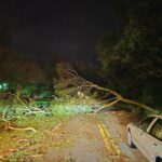 Po opustošenju Floride: Junaško reševanje 725 ljudi in 128 hišnih ljubljenčkov (video/foto) 6 GZhV7xXW8AApAG6