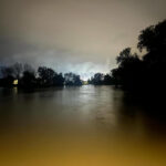 Nadomesti lahko 30 ljudi: Psička Zara pomaga rešiti pogrešane izpod ruševin 5 HGSS4