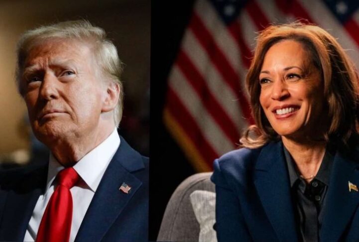 volitve v zda kamala harris donald trump