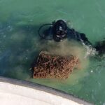 Prvo čiščenje morskih travnikov: Odstranili 380 kg odpadkov (FOTO) 7 Ciscenje morski travnikov Foto Zavod YouSea 10