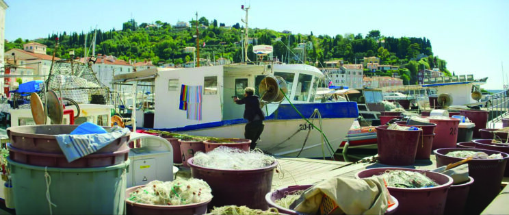 film halle berry piran 