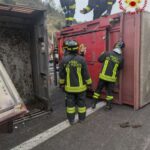 Iz prevrnjenega tovornjaka pri Trstu pobegnilo več kot 30 bikov (video/foto) 2 1734531857703 vvff