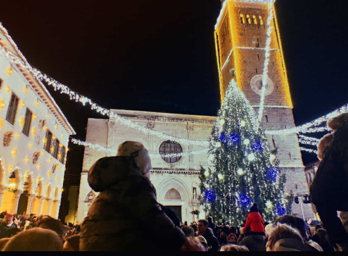 lučke koper tirov trg