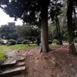 Sanacija dreves v portoroškem parku Rastelli (FOTO) 3 Park Rastelli 0