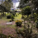 Sanacija dreves v portoroškem parku Rastelli (FOTO) 2 park rastelli