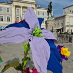 Poglejte, kako je zacvetel Tartinijev trg (FOTO) 2 tartinijev trg