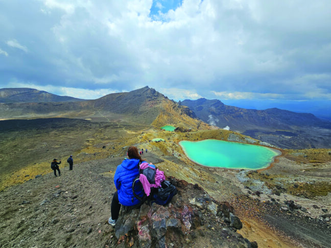 novi zeland ana capuder