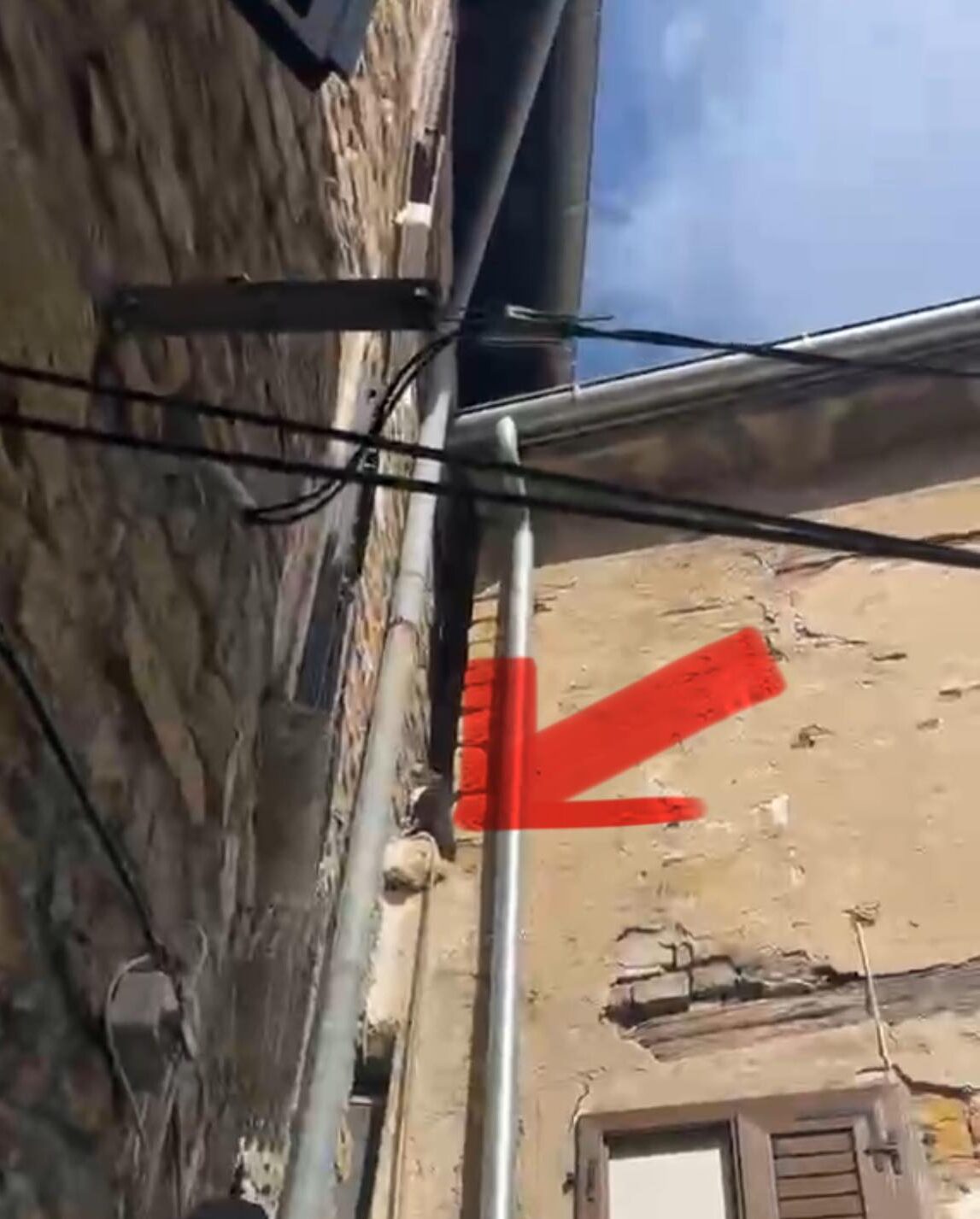gasilci resili muco v piranu