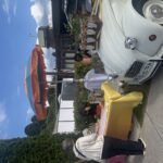 Vrtnice in rose v Portorožu (FOTO & VIDEO) 4 IMG 6780