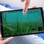 Iz morskih travnikov odstranili več kot eno tono smeti (FOTO) 8 Morski travniki so kljucni za ohranjanje zdravja morskega ekosistema Large