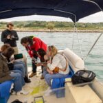 Iz morskih travnikov odstranili več kot eno tono smeti (FOTO) 9 Obiskovalci so si ogledali morske trave od blizu Large