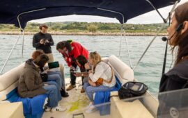 Obiskovalci so si ogledali morske trave od blizu Large